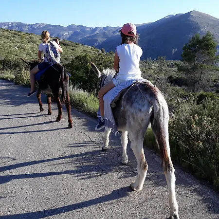 ゲストハウス Yurtas De Mongolia Vall de Ebo