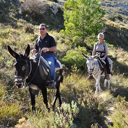 Pensión Yurtas De Mongolia